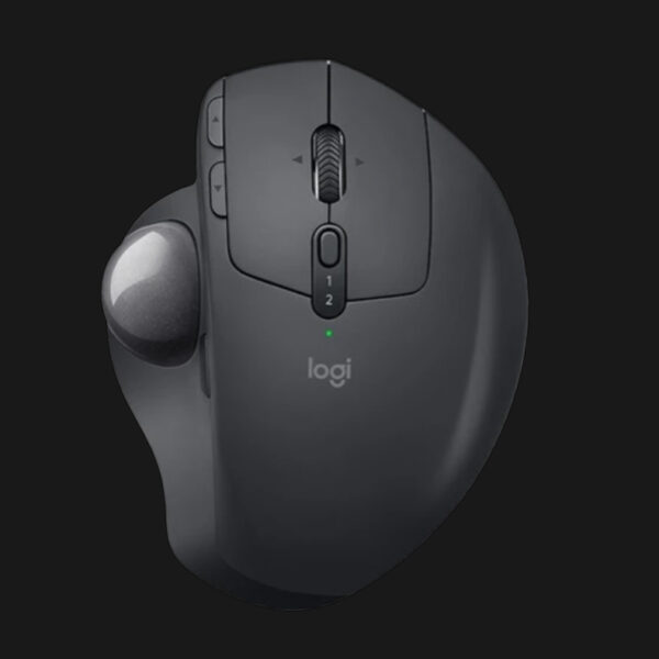 Ergo Mouse Graphite 910-005179